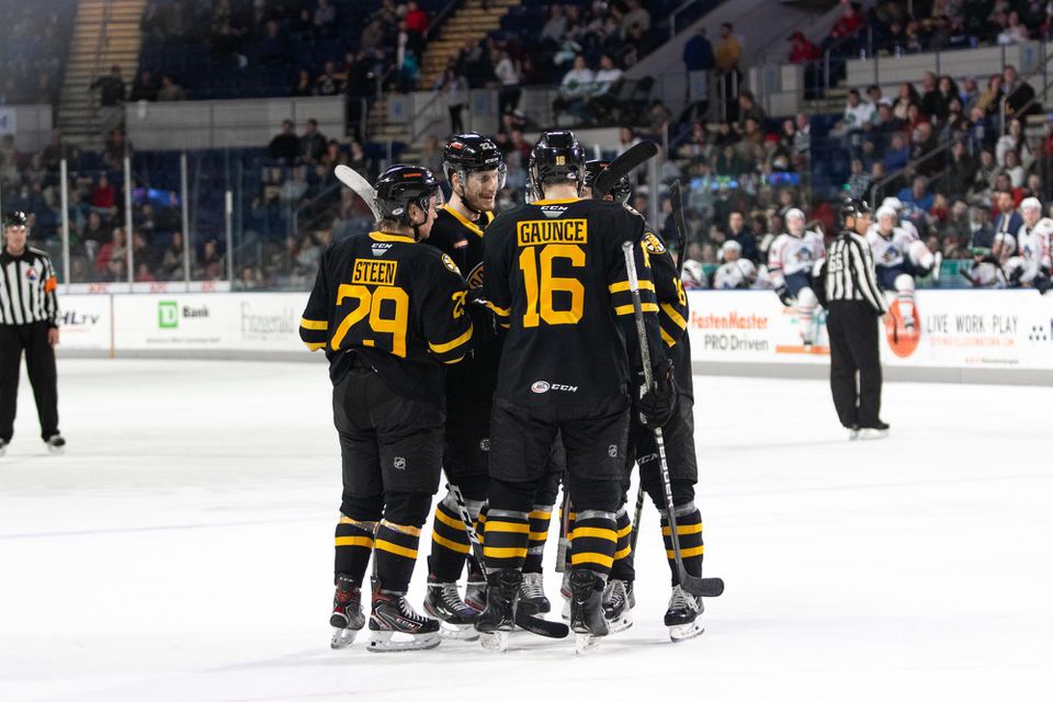 Peter Cehlárik so spoluhráčmi s Providence Bruins v zápase proti Springfieldu Thunderbirds