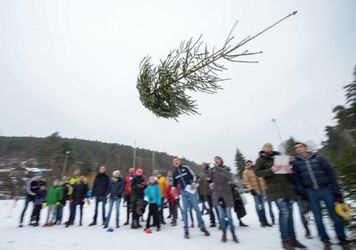 Vianočné stromčeky na olympiádu? Majú už vlastné MS