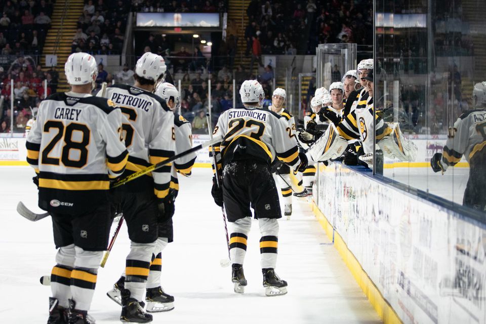 Hokejisti Providence Bruins