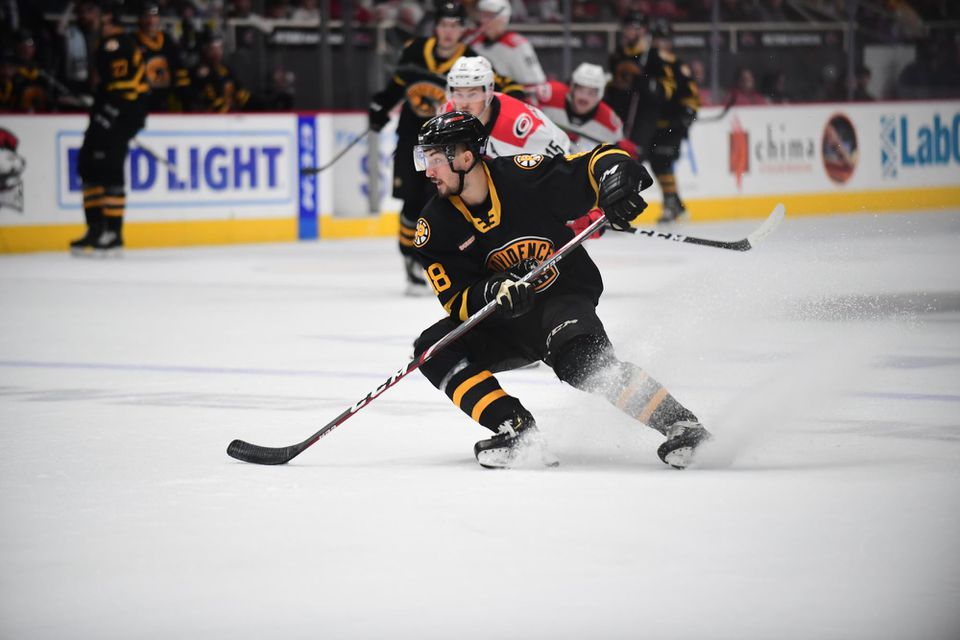 Róbert Lantoši v zápase AHL Charlotte Checkers - Providence Bruins