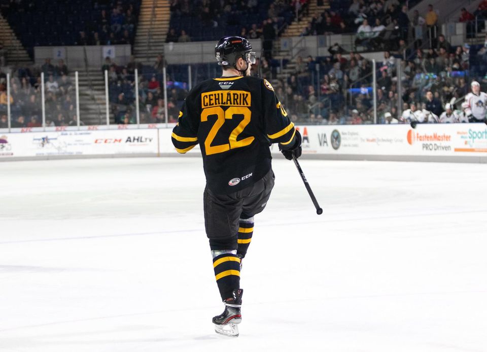 Peter Cehlárik v drese Providence Bruins