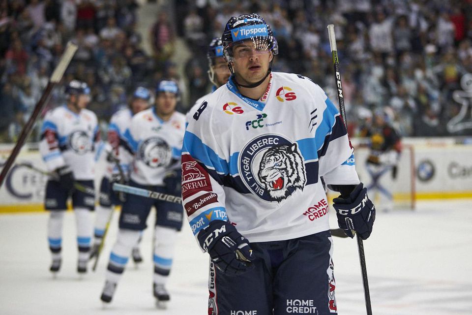 Libor Hudáček, hokejista tímu HC Bílí Tygři Liberec