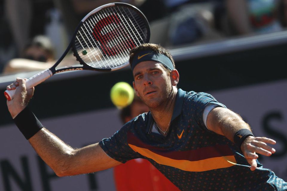 Juan Martin del Potro.