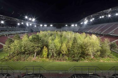 VIDEO zachytáva, ako na štadióne vyrástol uprostred sezóny les. Ľudia sa majú vďaka tomu spamätať