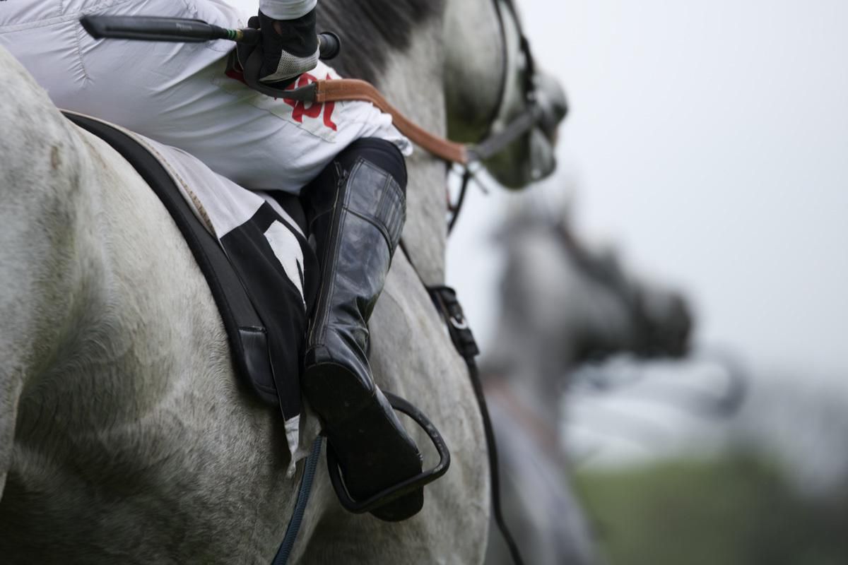 Courses hippiques : Derby slovaque pour le Jardin Michelet avec le jockey Adam Florian