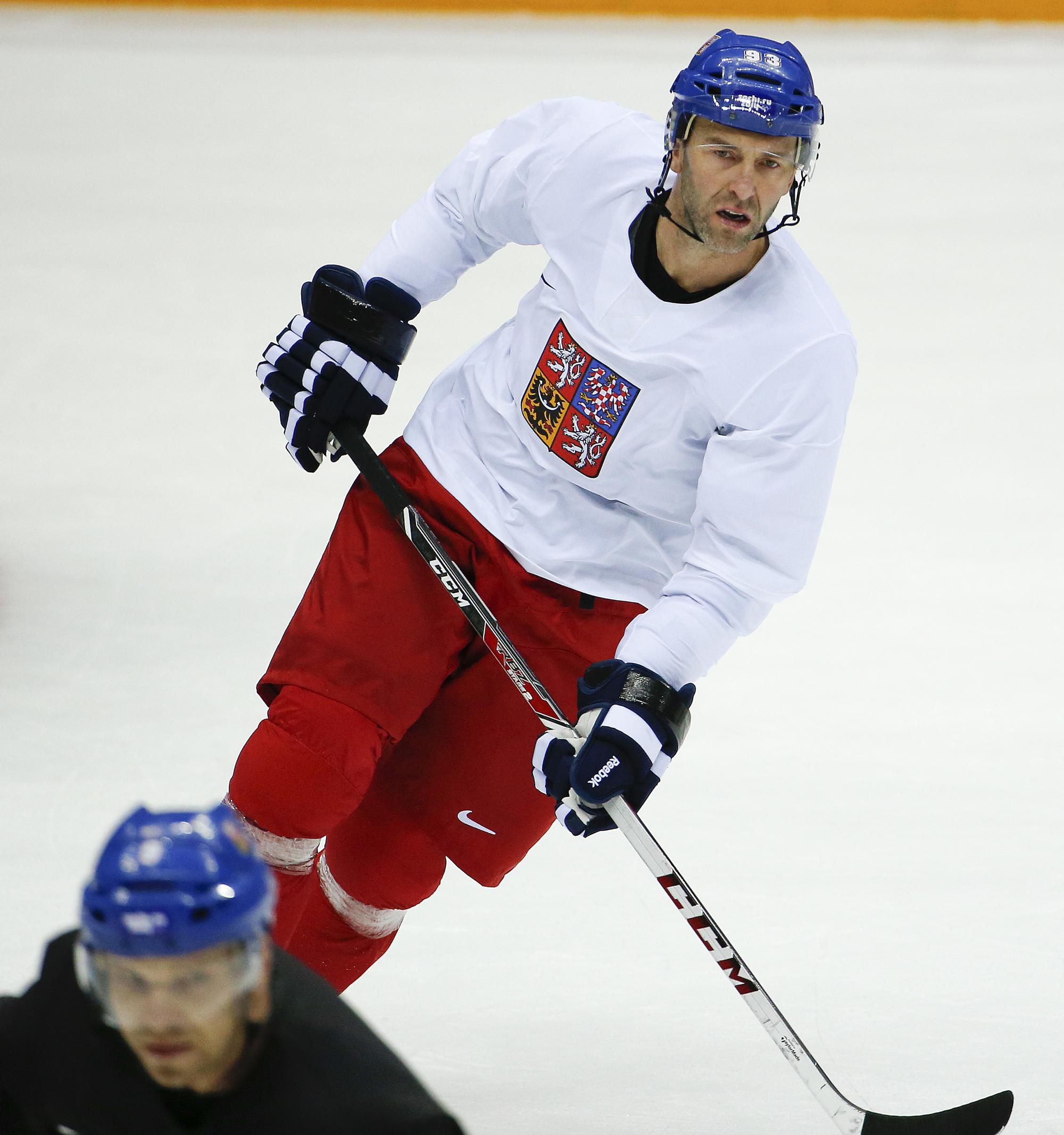 Bývalý hokejista Petr Nedvěd.