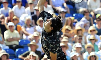ATP Atlanta: Vo finále dvojhry proti sebe de Minaur a Fritz