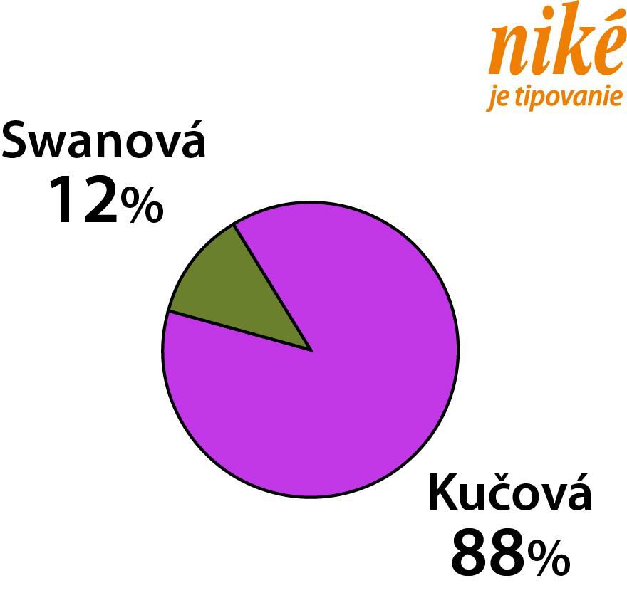 Analýza zápasu K. Swanová – K. Kučová.