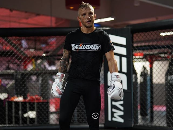 Americký zápasník zmiešaných bojových umení TJ Dillashaw.