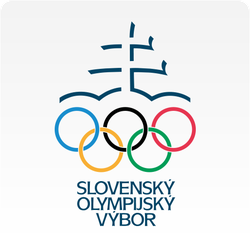 SOV sa zmenil na Slovenský olympijský a športový výbor