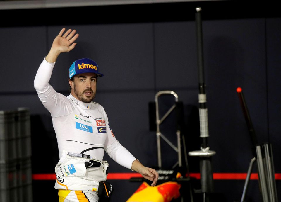 Španiel Fernando Alonso.