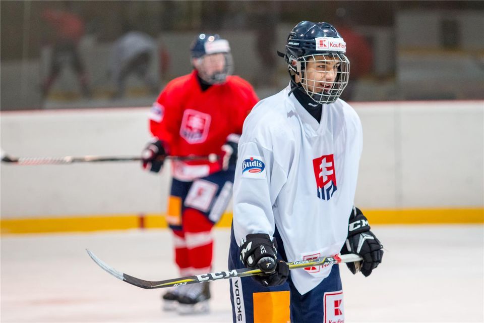 Slovenskí hokejoví reprezentanti do 16 rokov.