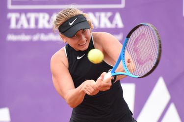 WTA Moskva: Potapovová vo finále proti Danilovičovej