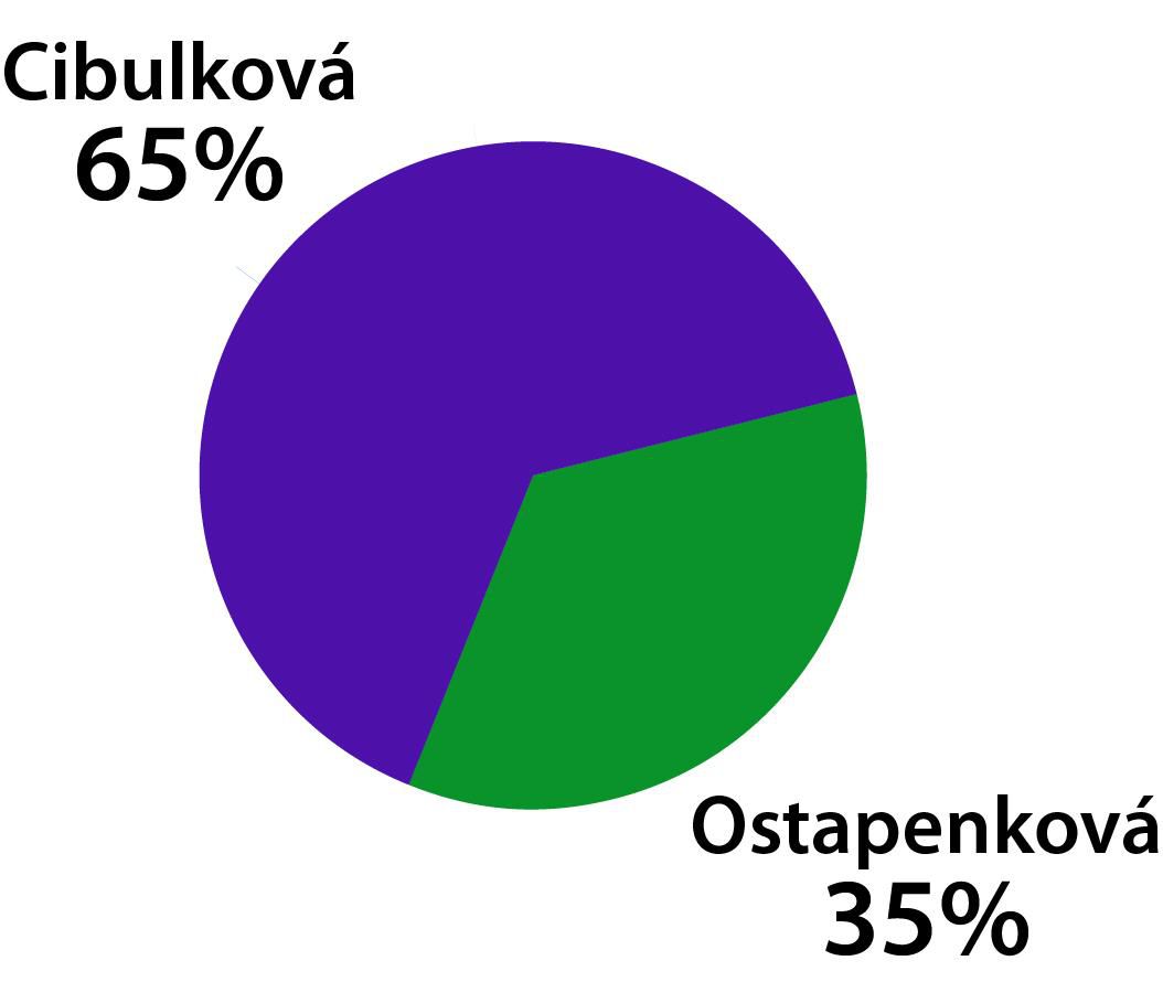 Graf Cibulková - Ostapenková