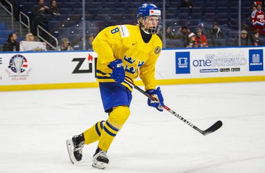 Analýza draftu NHL: Bude prvou trojicou v drafte Dahlin, Svečnikov a Zadina?