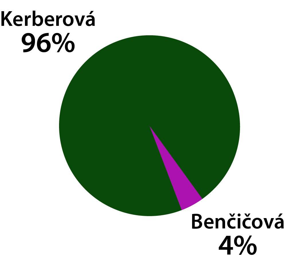 Graf Kerberová - Benčičová