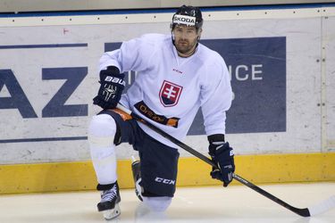 Andrej Meszároš chcel reprezentačnú kariéru ukončiť na olympiáde
