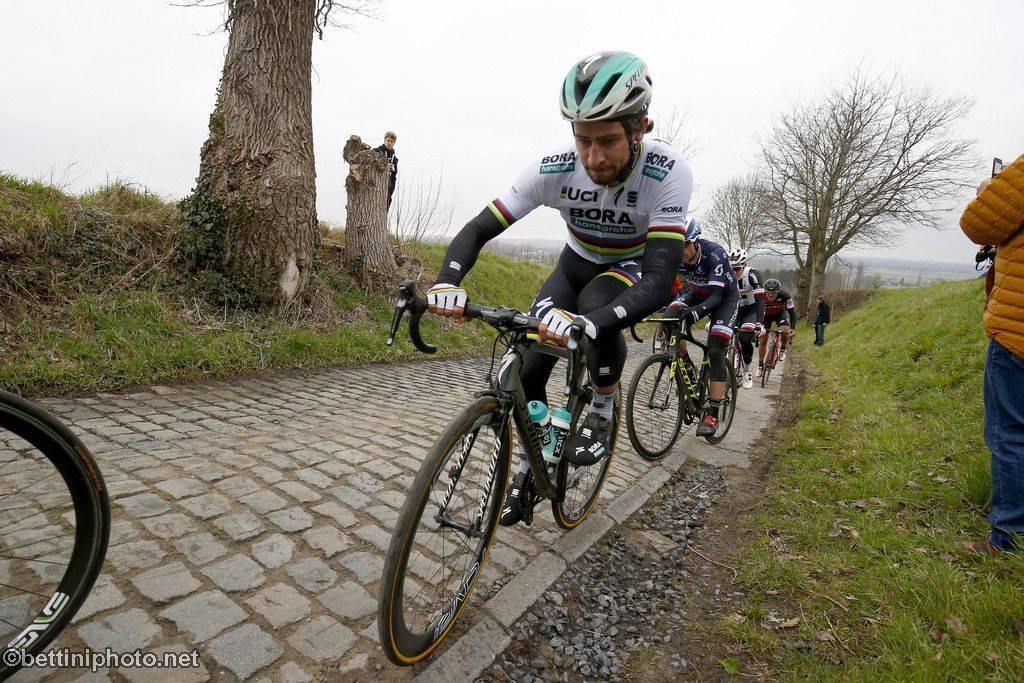 Peter Sagan