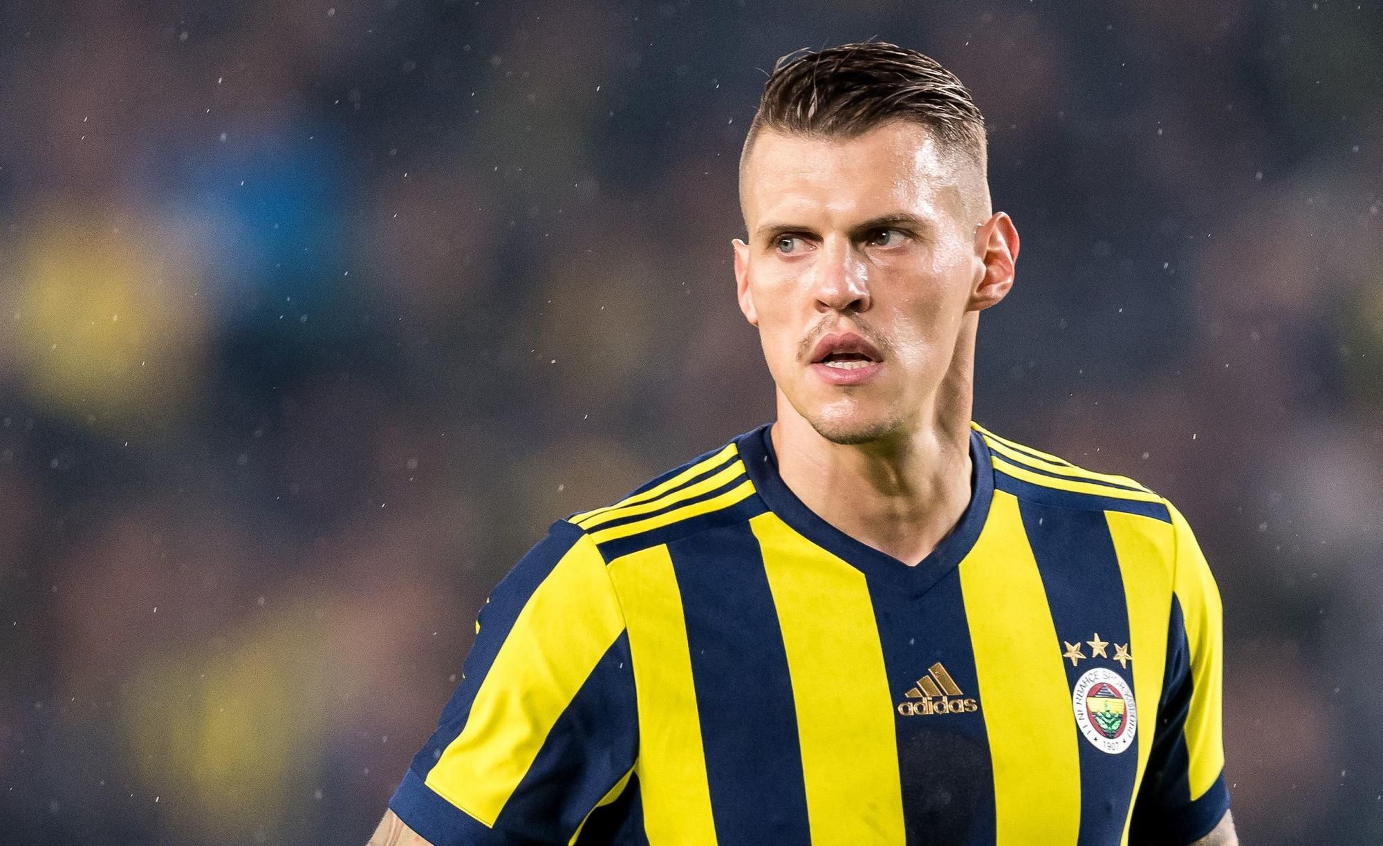 Martin Škrtel, obranca Fenerbahce Istanbul