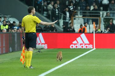 UEFA začala konanie proti Besiktasu, na ihrisko vtrhol nečakaný votrelec