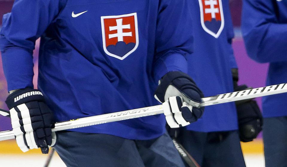 Hokejové dresy slovenských reprezentantov