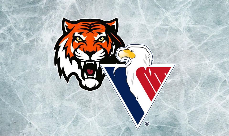Amur Chabarovsk, HC Slovan Bratislava, online, KHL, jan17, sport.sk