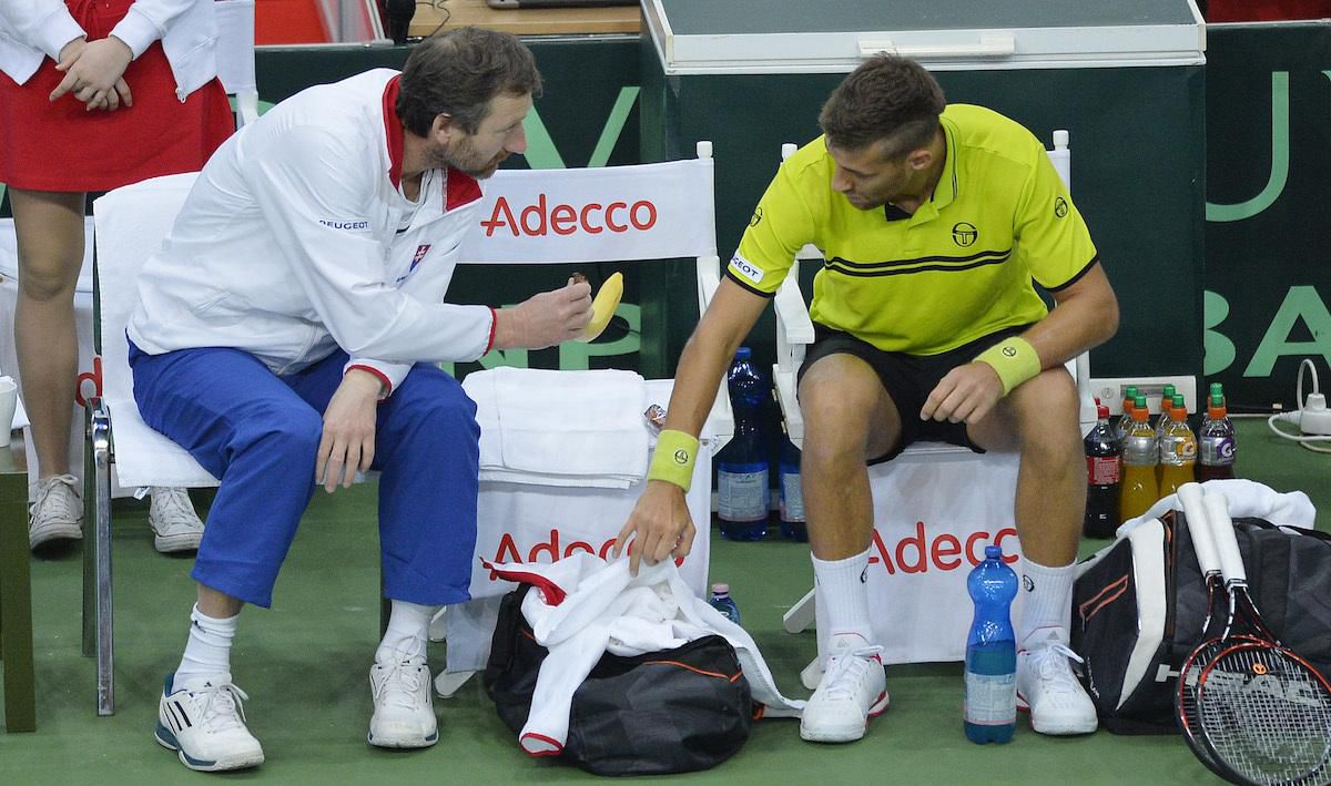 mecir klizan feb17 davis cup