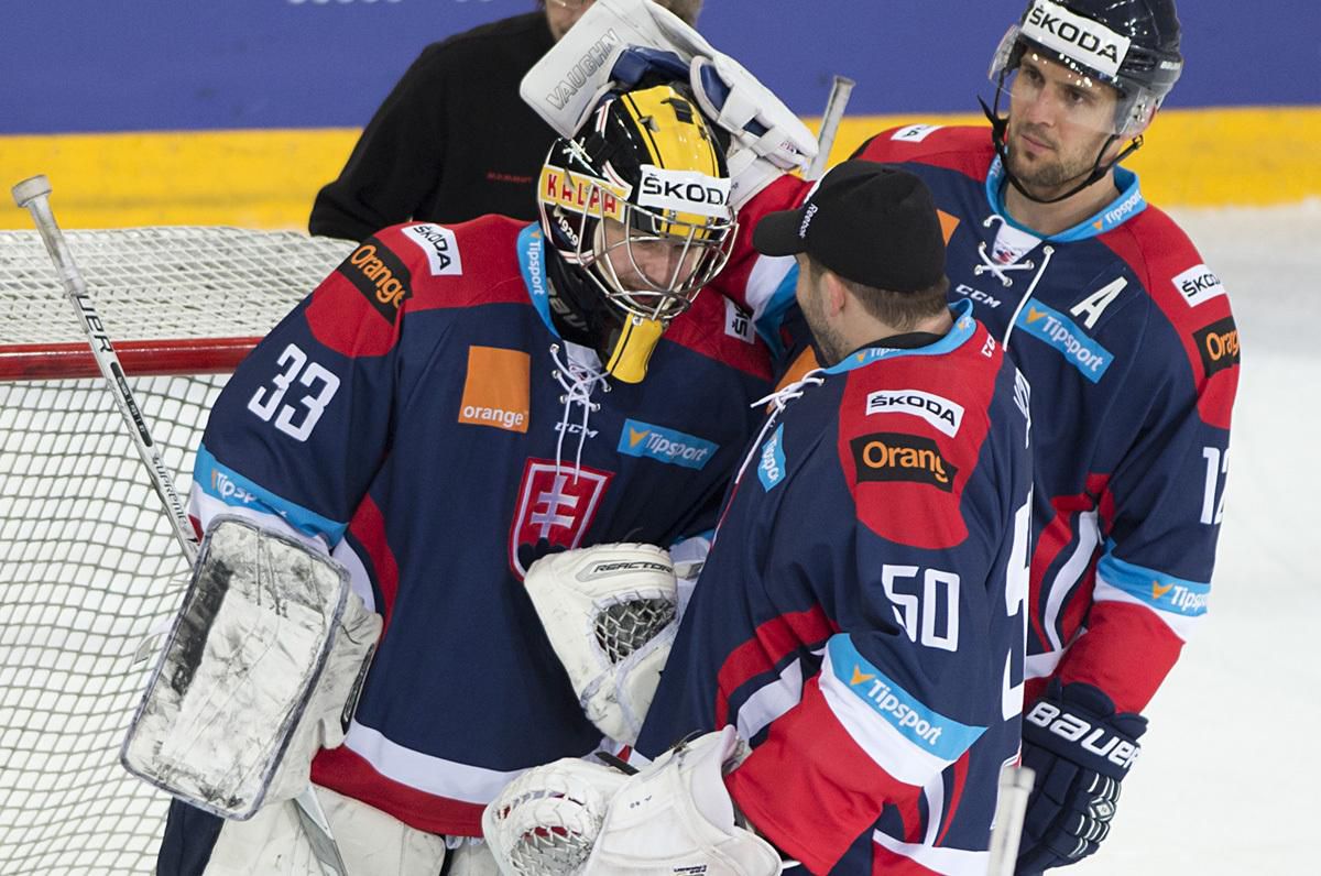 denis godla, repre, slovensko, feb2017, brankar