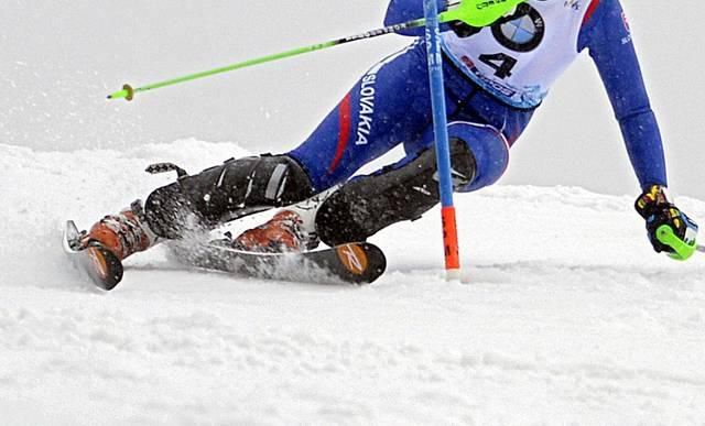Zjazd slalom zeny ilustracne foto mar14 tasr