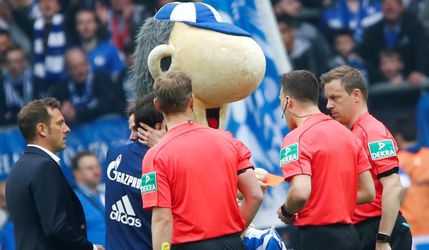 Video: Drzý maskot Schalke poslal rozhodcu pod sprchu červenou kartou