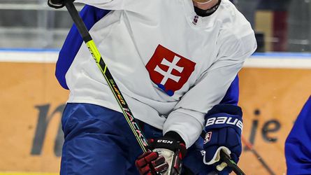 Turnaj piatich krajín: Slováci podľahli v úvodnom zápase USA