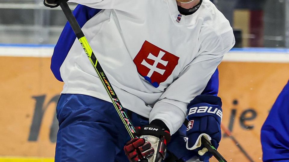 Hokej Slovensko.