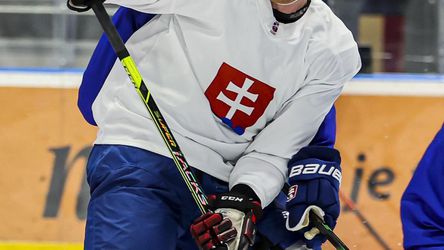 Turnaj štyroch krajín: Slováci zdolali po statočnom výkone Nemcov a stali sa víťazmi turnaja