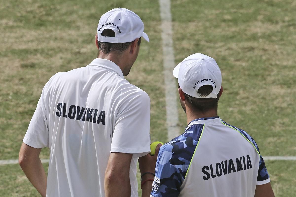 stvohra, davis cup, slovensko