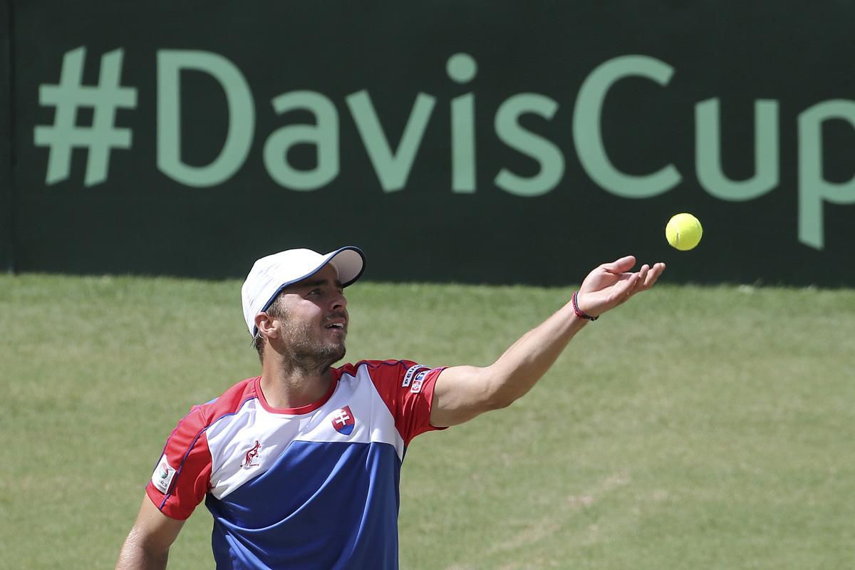 andrej martin, davis cup, slovensko