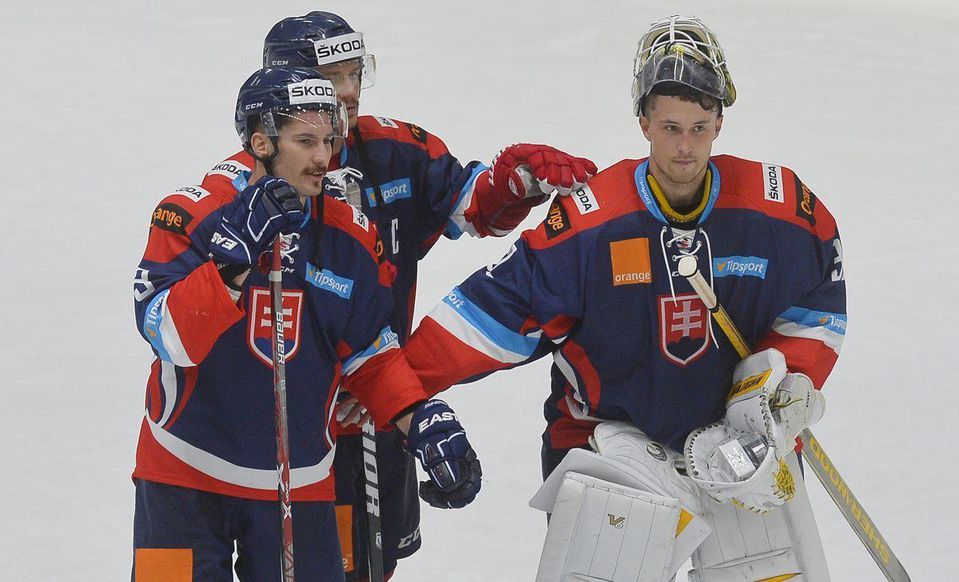 jaroslav janus, nemecky pohar, slovensko