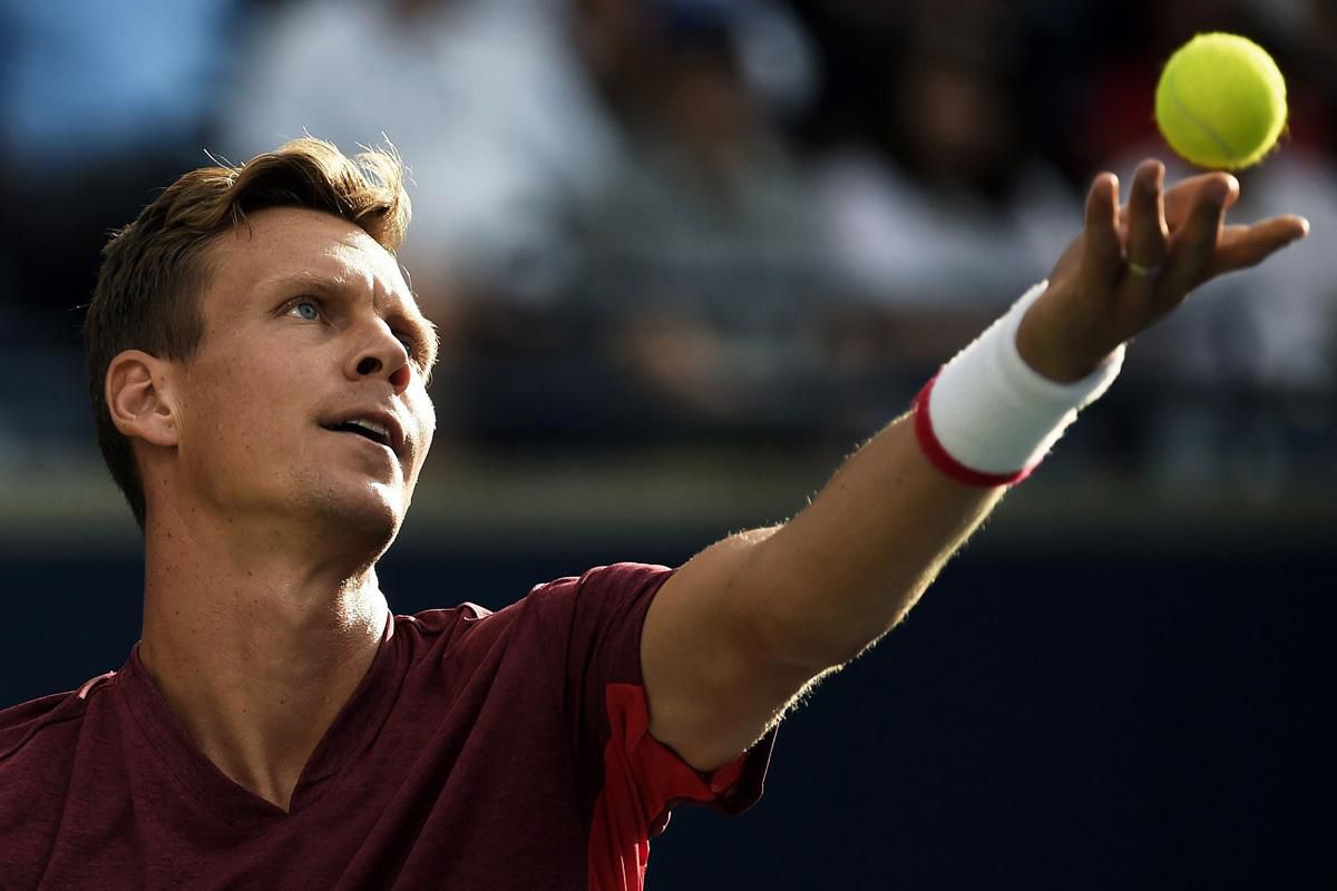 tomas berdych, tenis