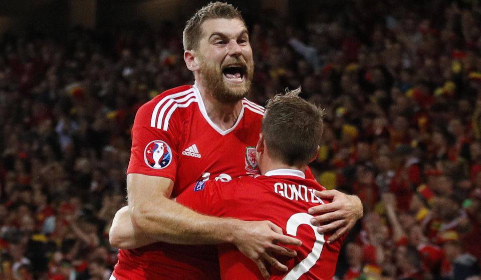 Wales, Sam Vokes, gol, radost, EURO 2016, jul16