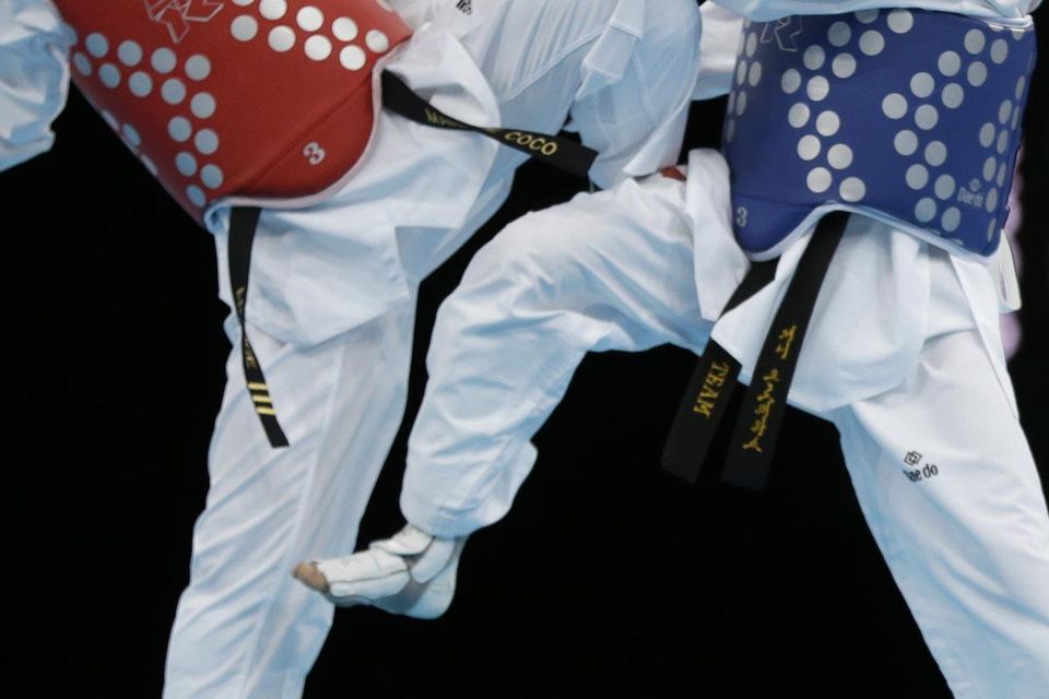 taekwondo, ilustracka, nov2016