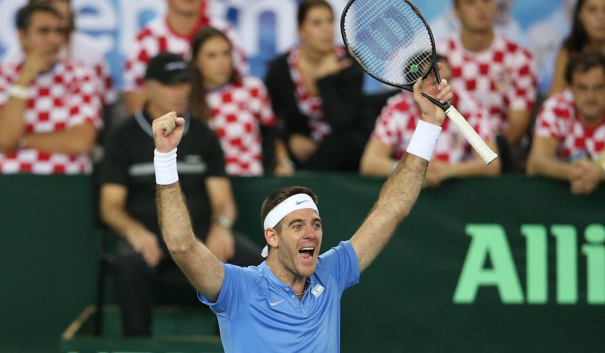 del potro, davis cup, nov2016