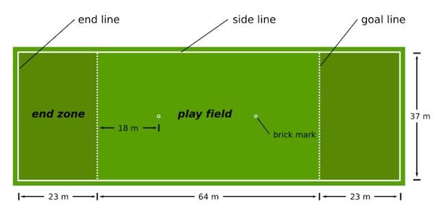 Ultimate_frisbee_ihrisko_infografika_feb16