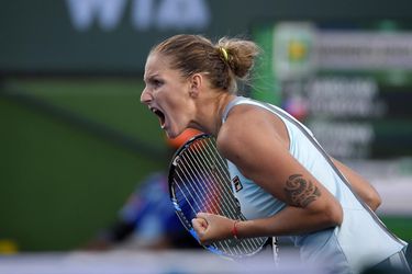 WTA Nottingham: Titul pre Plíškovú, vo finále zdolala Riskeovú