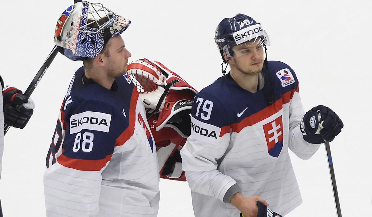 Julius a Libor Hudacek, Slovensko, reprezentacia, maj15