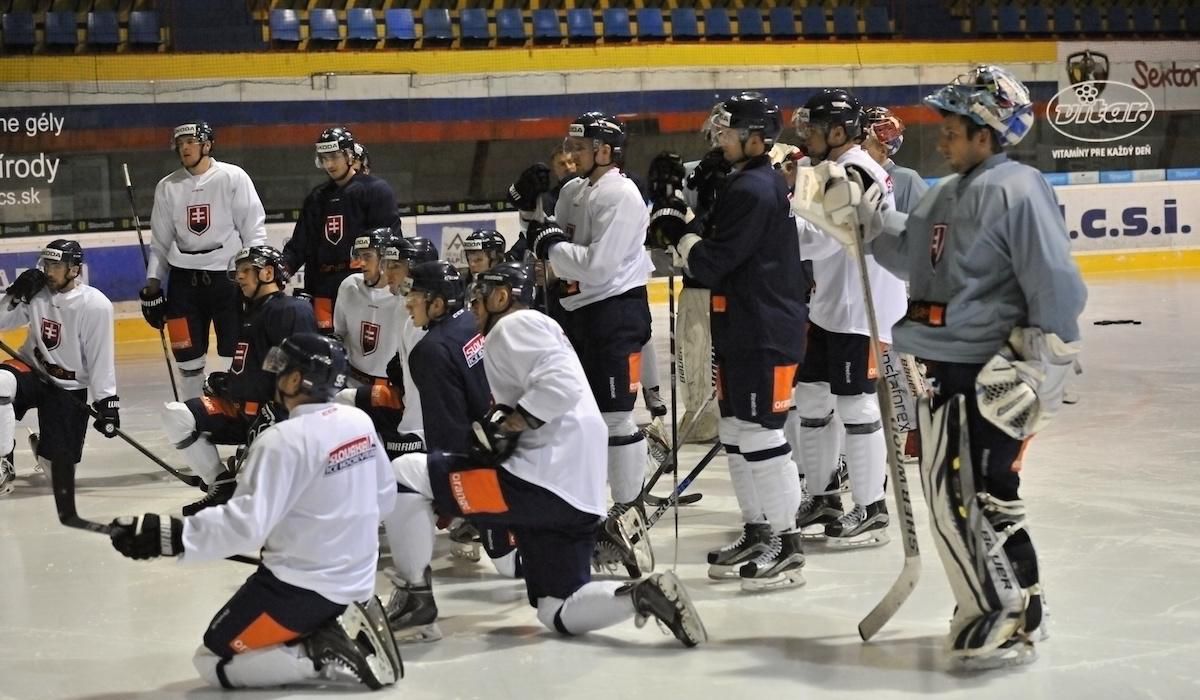 Slovensko, reprezentacia, hraci, trening, kemp v Martine, Jan2016