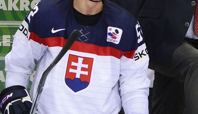 Slovensko znak hokej dres ilustracne foto maj14 tasr