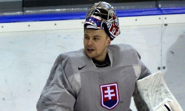 Julius hudacek slovensko trening priprava na ms2014 tasr