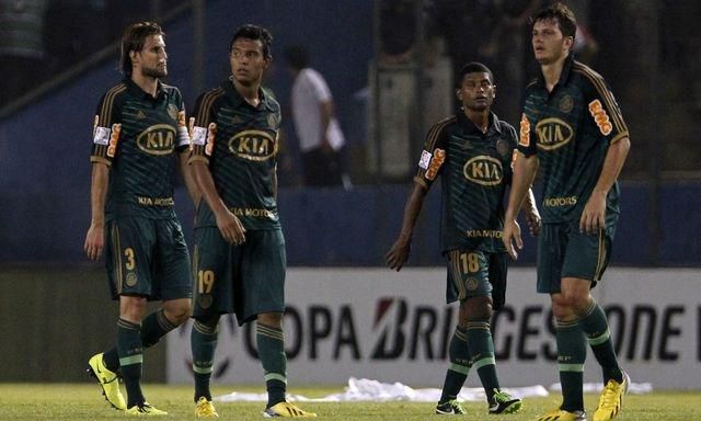 Palmeiras hraci hm mar2013 sita