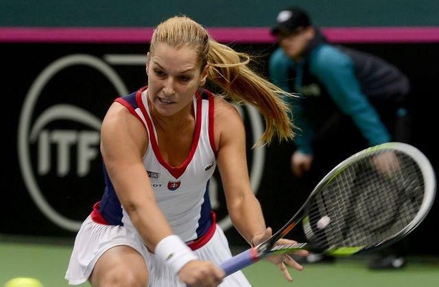 Dominika Cibulkova fed cup foto