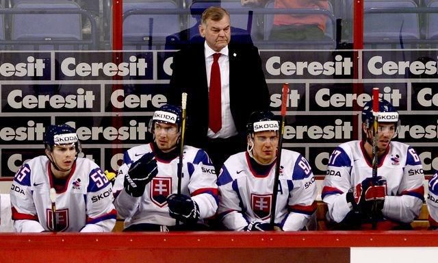 Vladimir vujtek a bliznak satan radivojevic zaborsky striedacka slovensko vs nemecko ms2013 tasr