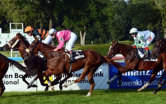 Slovenske derby love me jul14 tasr